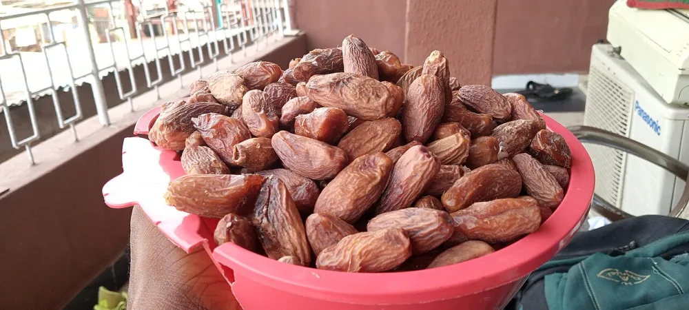 Kurma Ajwa VVIP Jumbo Luxury Asli Madinah
